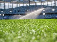 沈阳举办辽,宁职业足球,改革试点俱,大发彩神,彩票平台,彩票投注,在线购彩,彩票服务