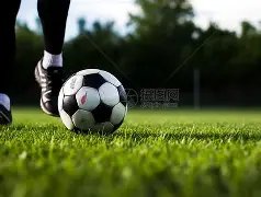 印尼超坦格,朗主场战绩,分析,大发彩神,彩票平台,彩票投注,在线购彩,彩票服务