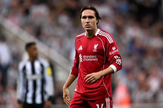 大乐透期号,专家推荐,卡利要云斯,大发彩神,彩票平台,彩票投注,在线购彩,彩票服务