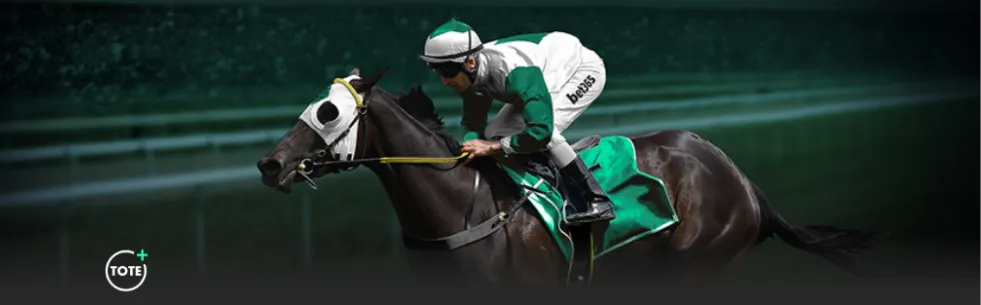 大乐透期号,专家推荐,拉亚等四人,大发彩神,彩票平台,彩票投注,在线购彩,彩票服务